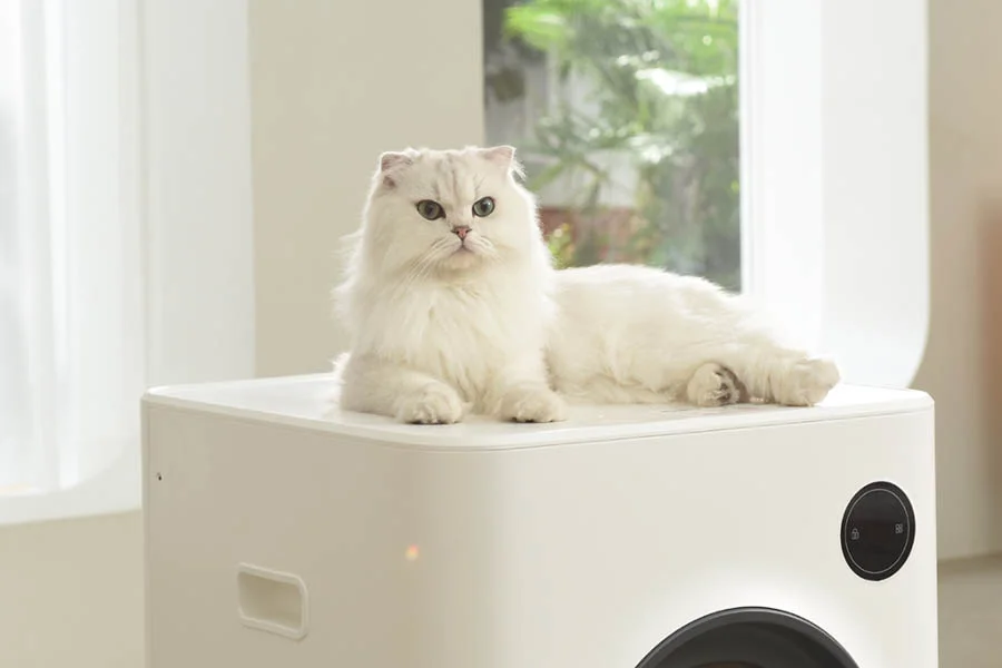 self cleaning cat litter boxes for multiple cats